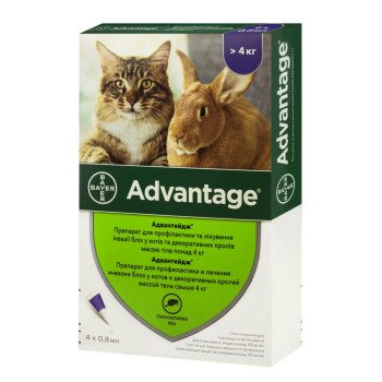 Адвантейдж 80 (Advantage) краплі для котів та кролів від 4 до 8 кг, 4 піпетки, Bayer Адвантейдж 80 (Advantage) краплі для котів та кролів від 4 до 8 кг, 4 піпетки, Bayer