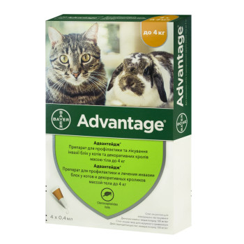 Адвантейдж 40 (Advantage) краплі для котів та кролів до 4 кг, 4 піпетки, Bayer Адвантейдж 40 (Advantage) краплі для котів та кролів до 4 кг, 4 піпетки, Bayer